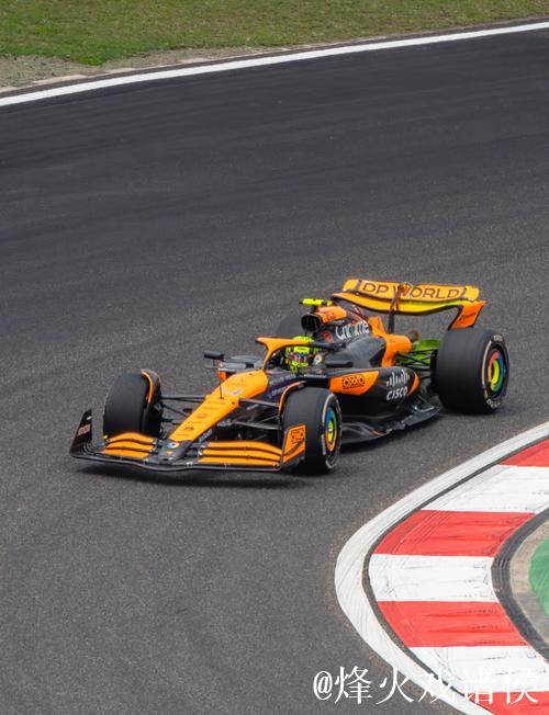 F1终章落幕 诺里斯获得年度车手总冠军 F1终章落幕 诺里斯获得年度车手总冠军